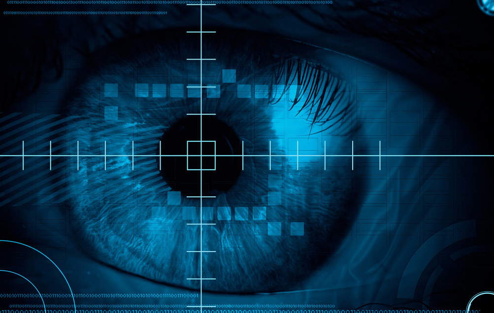 Investigation Services